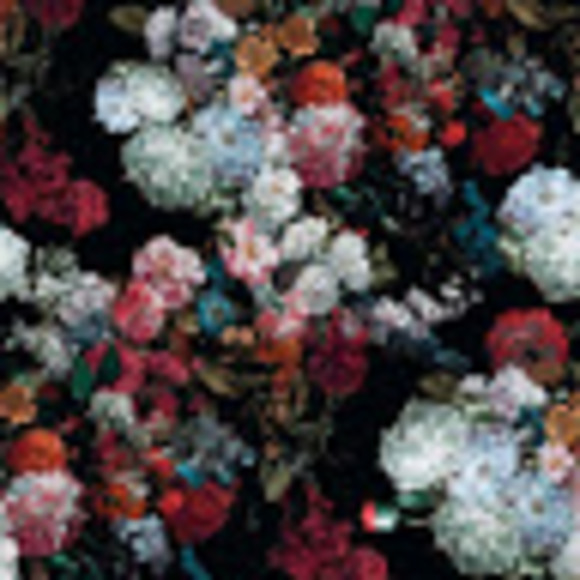 Meet your Posher, Talia - Picture 1 of 1